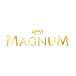 Magnum Double Gold Billionaire Tub 440ml - What's Instore