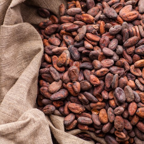 cocoa beans from Equador
